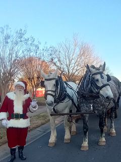 Santa Russ — photo 1